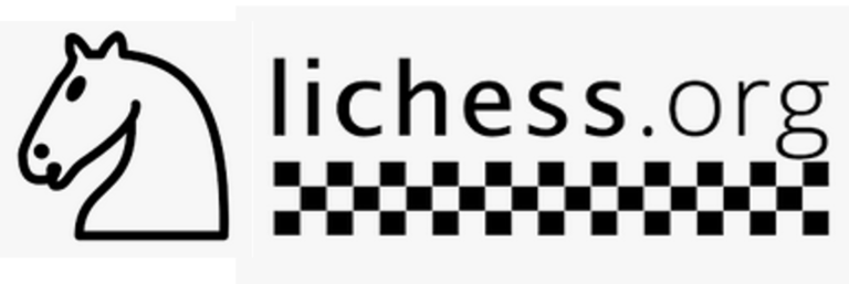 Training NEU: Spielen auf lichess.org & Skype (Jugend)